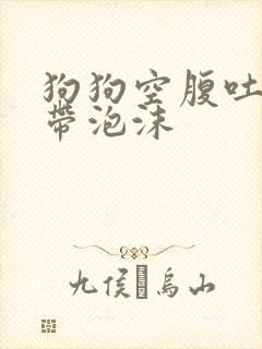 狗狗空腹吐黄水带泡沫