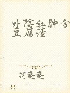 外阴红肿分泌物豆腐渣封面