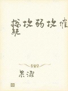 总攻弱攻催眠系统