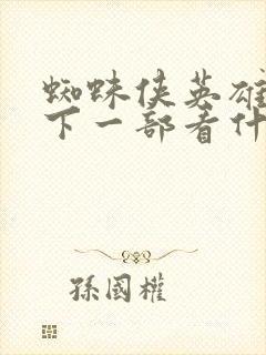 蜘蛛侠英雄远征下一部看什么