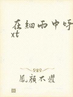 在细雨中呼喊txt