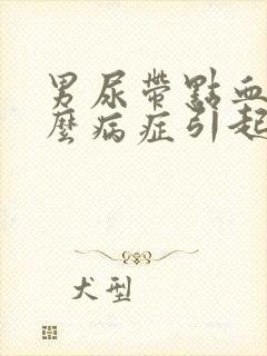 男尿带点血是什么病症引起的