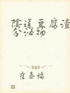 阴道豆腐渣状的分泌物