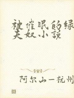 被催眠的绿帽夫夫奴小说封面