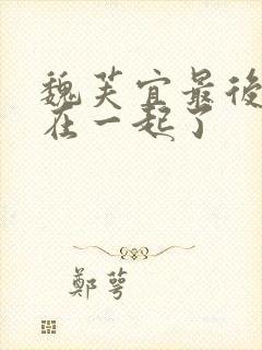 魏芙宜最后和谁在一起了封面