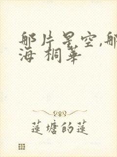 那片星空,那片海 桐华