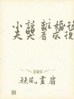 小说 离婚后前夫哭着求复婚