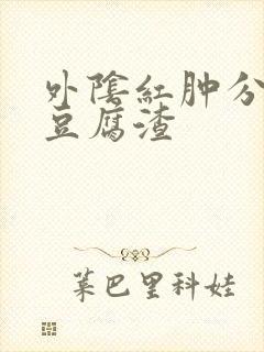 外阴红肿分泌物豆腐渣封面