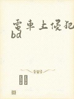 电车上侵犯人妻bd