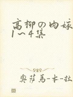 高柳の肉嫁动漫1～4集