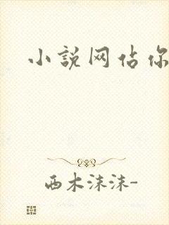 小说网站你懂的