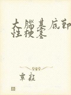 大脑基底节腔隙性梗塞