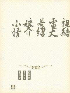 小娘惹电视剧剧情介绍大结局