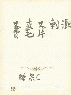 又爽又刺激的免费毛片