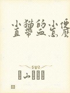 小猫的小便里一直带血怎么办