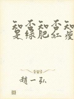 知否知否知否应是绿肥红瘦讲的是什么