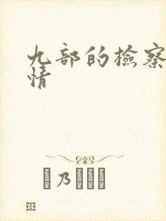 九部的检察官剧情