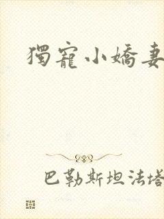 独宠小娇妻封面