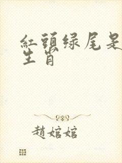 红头绿尾是什么生肖封面