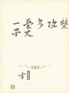 一受多攻双性生子文封面