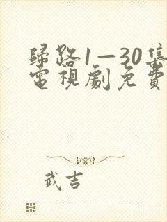 归路1—30集电视剧免费观看