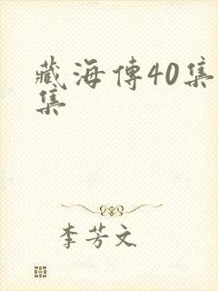藏海传40集全集