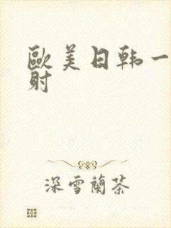 欧美日韩一级内射封面