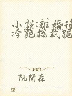 小说:离婚后,冷艳总裁跪求复婚封面