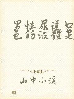 男性尿道口流白色的液体是什么原因