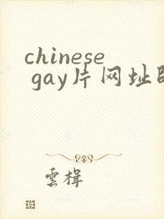 chinese gay片网址帅哥封面