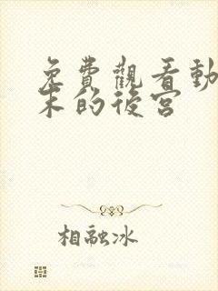 免费观看动漫终末的后宫