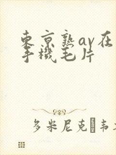 东京熟av在线手机毛片封面