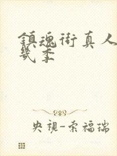 镇魂街真人版有几季