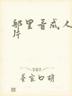 那里看成人黄色片