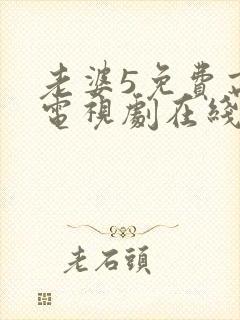 老婆5免费高清电视剧在线观看封面