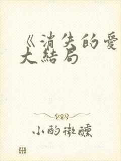 《消失的爱人》大结局封面