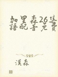 加里森26集国语配音免费观看