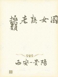 搡老熟女国产另类