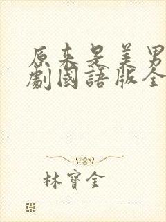 原来是美男啊韩剧国语版全集封面