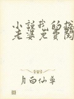 小说我的总裁大老婆免费阅读封面