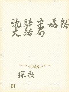 沈辞宋嫣然许恺大结局封面