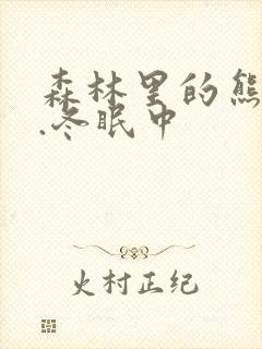 森林里的熊先生.冬眠中封面