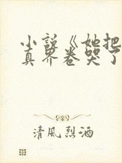 小说《她把全修真界卷哭了》封面