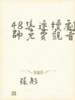 48集连续剧少帅免费观看高清封面