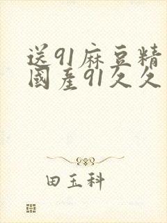 送91麻豆精品国产91久久久