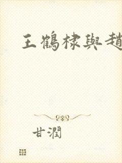 王鹤棣与赵露思