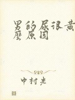 男的尿很黄是什么原因