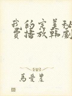 我的完美秘书免费播放韩剧封面