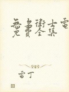 无名卫士电视剧免费全集封面