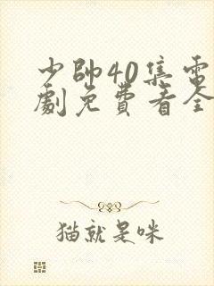 少帅40集电视剧免费看全集封面